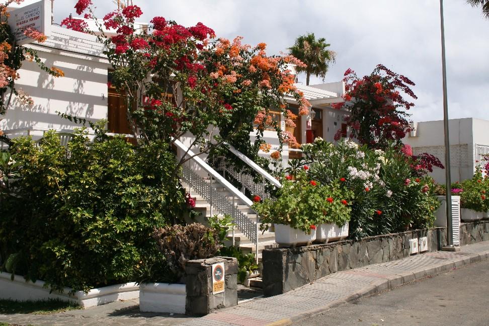 Apartamentos El Capricho Maspalomas  Exterior foto